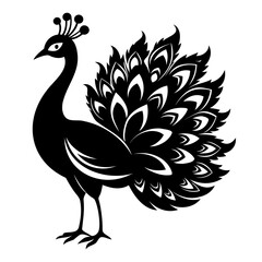 Peacock Bird black silhouette vector illustration isolated on a transparent background