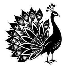 Peacock Bird black silhouette vector illustration isolated on a transparent background