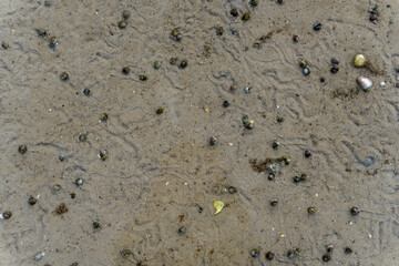 Sand Textures 