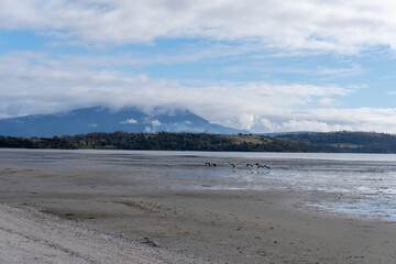 beach and natural environment
