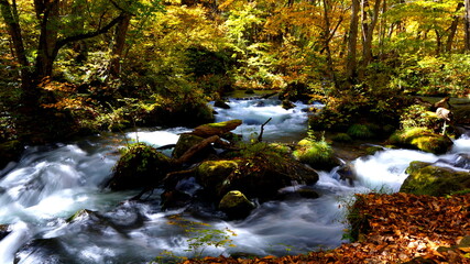 紅葉の奥入瀬渓流