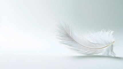 Obraz premium Delicate Feather Floating Softly on Minimalist White Background Symbolizing Lightness and Freedom