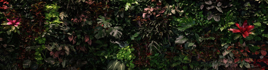 Herb wall, plant wall, natural green wallpaper and background. nature wall. Nature background of green forest