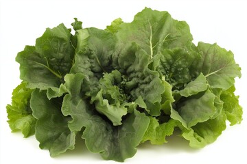 Lettuce isolated on white background 