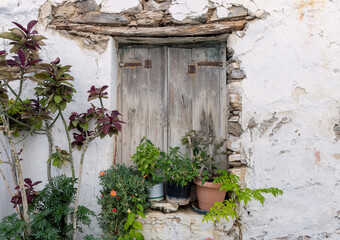A rustic window on a Paros cottage features a mix of colorful flowers and lush greenery, showcasing the natural beauty of the Cyclades under clear blue skies.