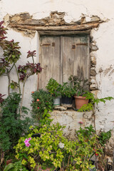 A weathered wooden window with shutters sits against an old wall, surrounded by lush greenery and colorful flowers, reflecting the beauty of Paros in the Cyclades.