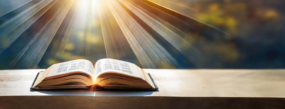 An open book illuminated by divine rays, with a backdrop of a blurred forest, symbolizing enlightenment and spirituality.
