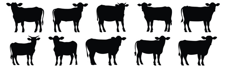 Cow silhouettes set, animal pack of vector silhouette design, isolated background.