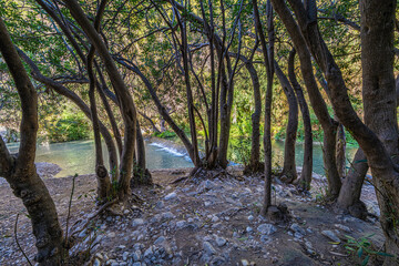 The Algar Springs, a river with crystal-clear waters near Altea and Benidorm in Spain