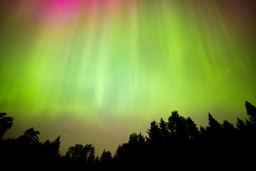 Strong northern lights over forest. Geomagnetic storm and night landscape.