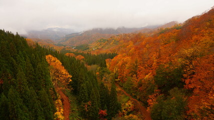 Obraz premium 秋田 山の紅葉