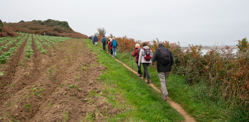 Groupe de randonneurs sur le GR34 en Bretagne-France