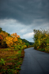 Naklejka premium Asphalt road around the forest,path in the forest,countryside road.Autumn landscape photography in the woodlands .Orange and yellow leaves on the road,beautiful road through the forest
