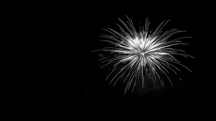 Fototapeta premium Single White Fireworks Display Against a Black Night Sky