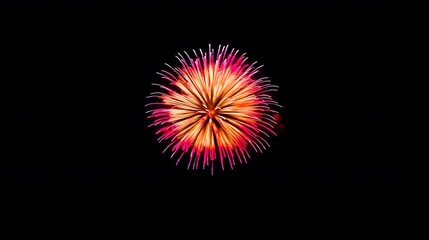 Fototapeta premium A Single Pink and Orange Firework Exploding Against a Black Night Sky