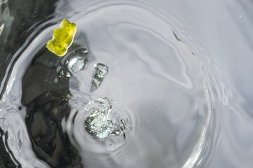 wasser eintauchen fruchtgummi von unten kreis