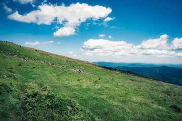 Fototapeta premium 青空と広がる緑の高原風景 山岳地帯 自然豊かな牧草地