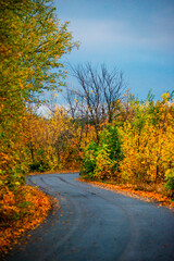 Asphalt road around the forest,path in the forest,countryside road.Autumn landscape photography in the woodlands .Orange and yellow leaves on the road,beautiful road through the forest