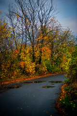 Asphalt road around the forest,path in the forest,countryside road.Autumn landscape photography in the woodlands .Orange and yellow leaves on the road,beautiful road through the forest