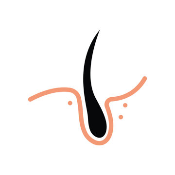 black hair follicle simple graphic clip art preview