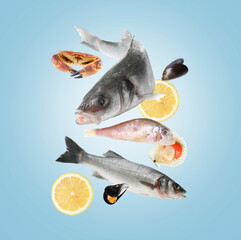 Different sea food in air on light blue background