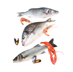 Different sea food in air on white background