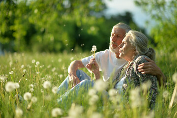 Portrait of senior couple sitting on the grass in the park