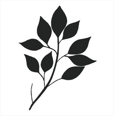 silhouette of a plant