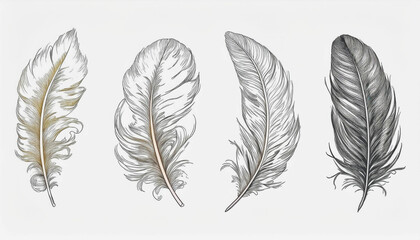 Obraz premium Feather icon set. Hand drawn illustration. Doodle sketch.
