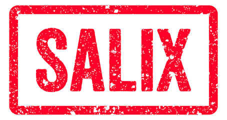 Salix Stamp Transparent Seal, Red Grunge Salix Flower Word Typography Rubber Stamp Seal Signboard Text Effect