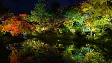 高台寺のライトアップ