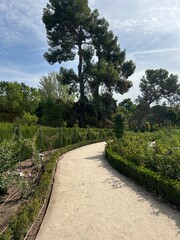 Outdoor Path in Greenery Garden