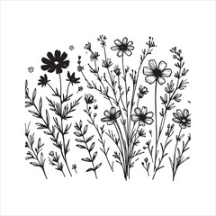 Wild Flowers illustration
