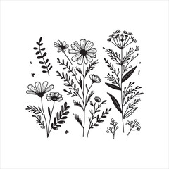 Wild Flowers illustration