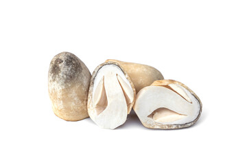 Straw mushroom cut in half isolated on white background.