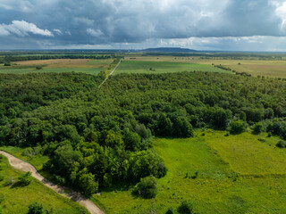 Stunning landscape in Saka, Estonia. Expansive view of the countryside, characterized by lush green fields and dense forests. A winding dirt road meanders through the greenery in the foreground.