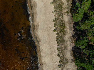 Aerial top-down view of calm and wild Turisalu beach (Estonian - Türisalu rand) on a sunny summer evening. Calm and brown waters of Baltic sea. 