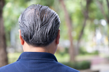 Back head portrait of middle aged Asian man, with minor hair loss as a sign of aging, concept image...