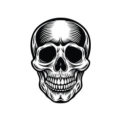 Vintage-Style Skull Illustration Vector
