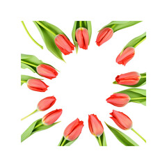 Obraz premium Red Tulips Circle Frame
