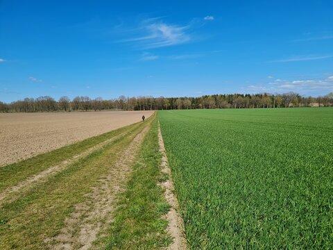 Feldweg vom Bocksberg zur Wiegersener Stra&szlig;e, Landkreis Stade