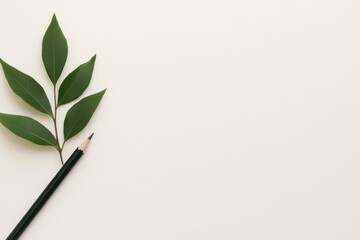 Blank Brochure Background with Nature Elements - Design Concept - Graphic Design and Publishing Industry