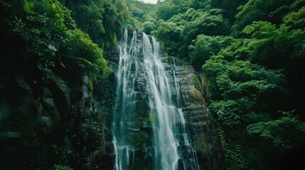 A serene waterfall surrounded by dense foliage and vibrant greenery