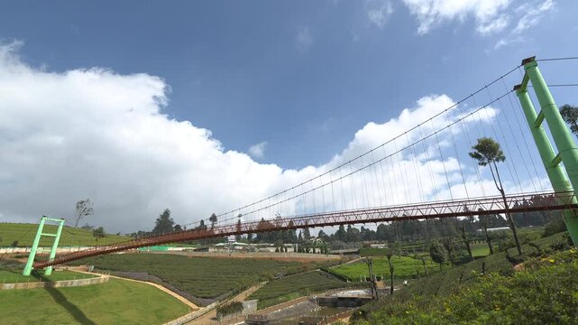 Karnataka Horticulture Garden OOTY