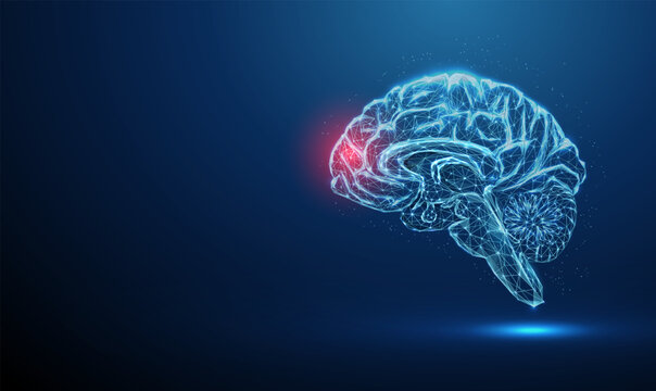 Abstract blue brains with red spot. Brains deseases, medical treatment and pharmacy concept. Low poly style.