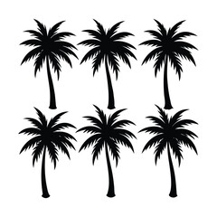 Fototapeta premium Set of Palm Trees Silhouettes Vector – Tropical Nature Illustration