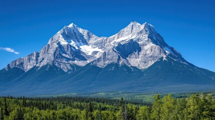 Fototapeta premium A majestic snow-capped mountain peak rises above a lush green forest under a clear blue sky.