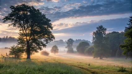 Misty Forest Landscape at Dawn With Soft Sunlight Illuminating Trees. Generative AI