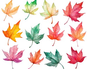 Obraz premium Vibrant Watercolor Autumn Leaves Swirling in Gradient Pattern on White Background