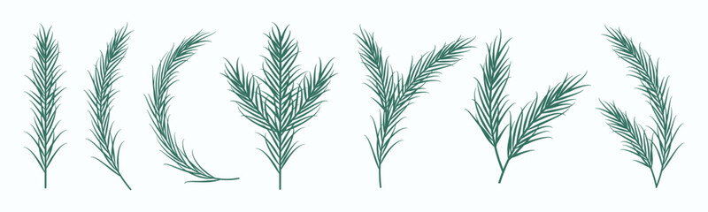 Vector clipart with various pine branches isolated on a light background. Subtle decoration set for greeting cards, invitations, winter designs, packaging, etc. 